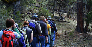 Wandergruppe im Bayerischen Wald